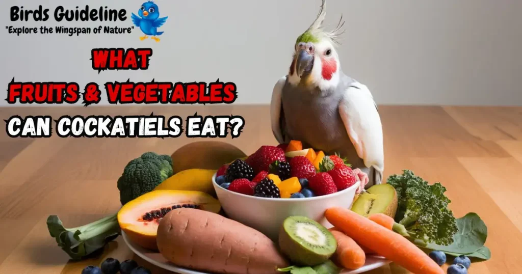 What Fruits and Vegetables Can Cockatiels Eat