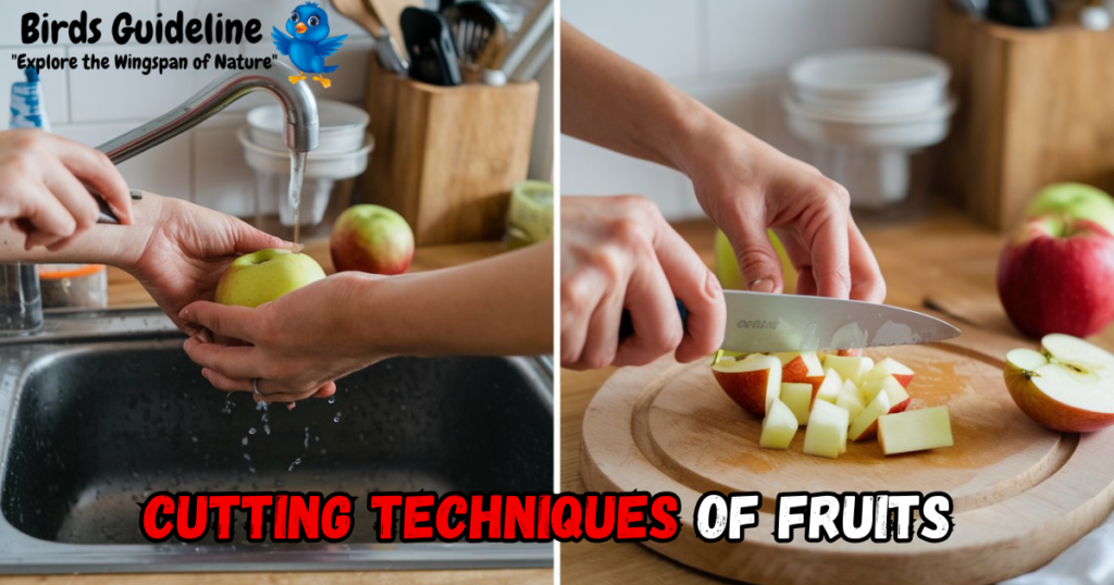 Cutting Techniques of fruits for cockatiels