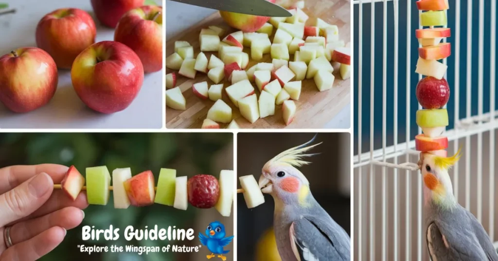 how to prepare Fruit Skewers for cockatiel