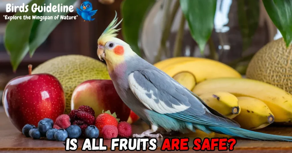 is All Fruits Are Safe for cockatiel