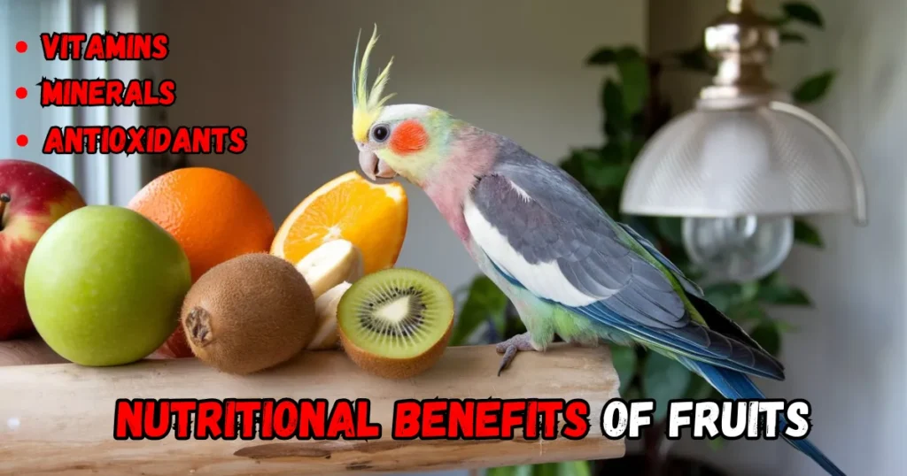 nutritional benefits of fruits for cockatiels